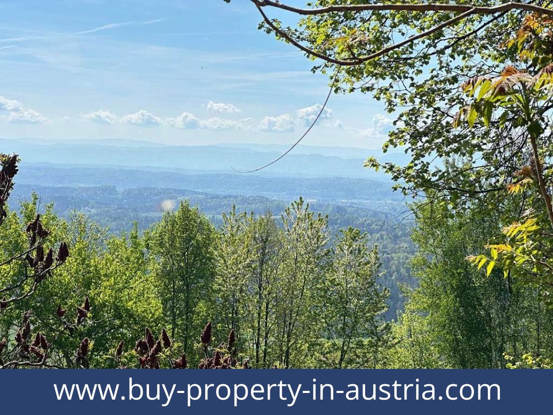 buy-property-in-austria-bad gams-8524-20251010221816-0032401007.jpg